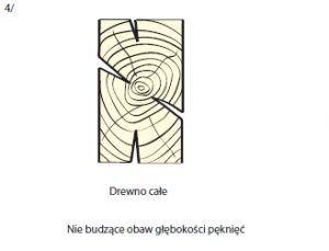 drewno_image005