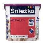 ŚNIEŻKA SATYNOWA ŚNIEŻKA SATYNOWA