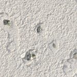 prawa_kolumna_Weather_factors_2