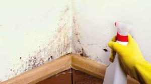 PODŁOŻE af_farba_fot._8