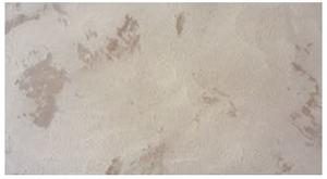 PIASKOWIEC RUSTYKALNY 